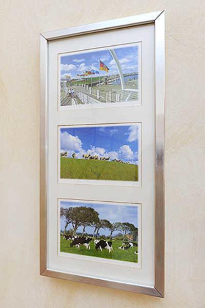 Nordseegartenpark Terrassien Bensersiel Exteriér fotografie